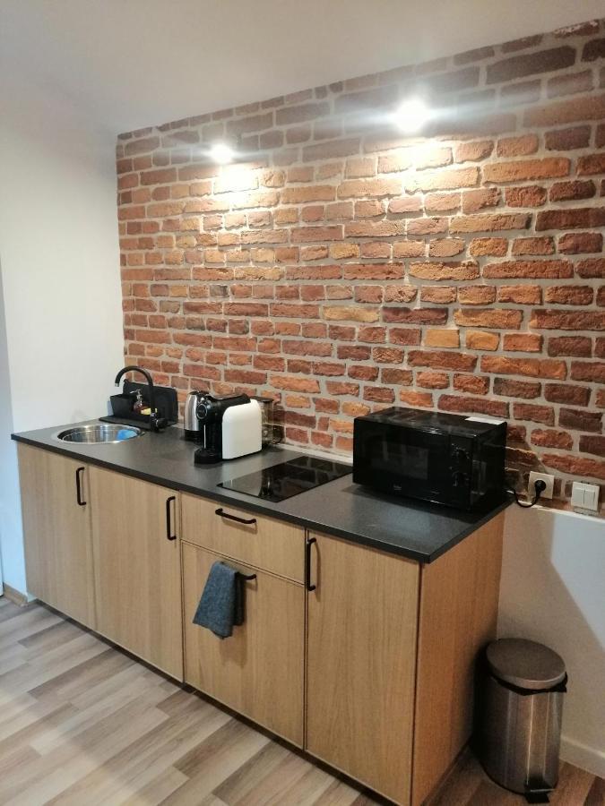 Apartament Pod Wawelem Cracovie Extérieur photo